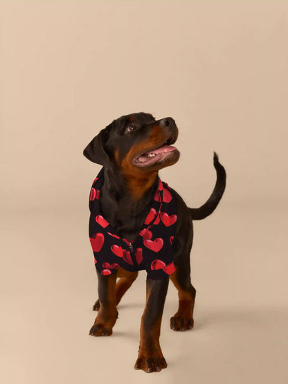 UltraModal™ Dog Hoodie | Floating Hearts