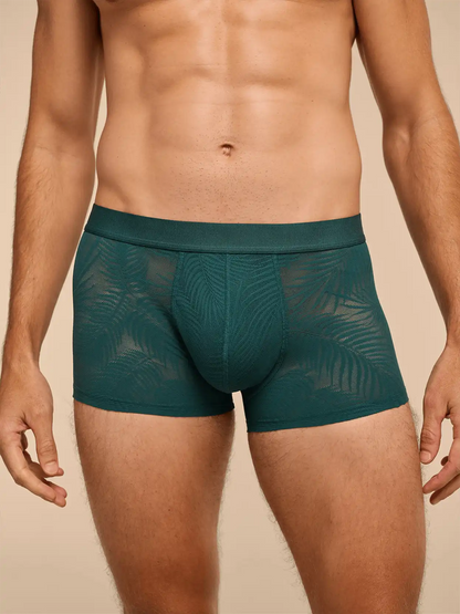 All Over Lace Trunk | Sea Moss Feather